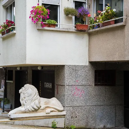 Urban Garden Sofya