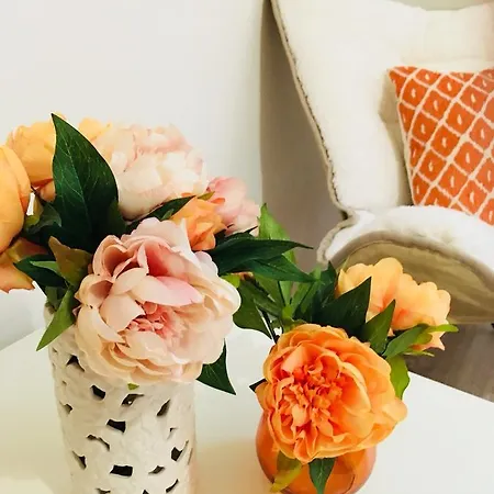 Urban Garden 索菲亞